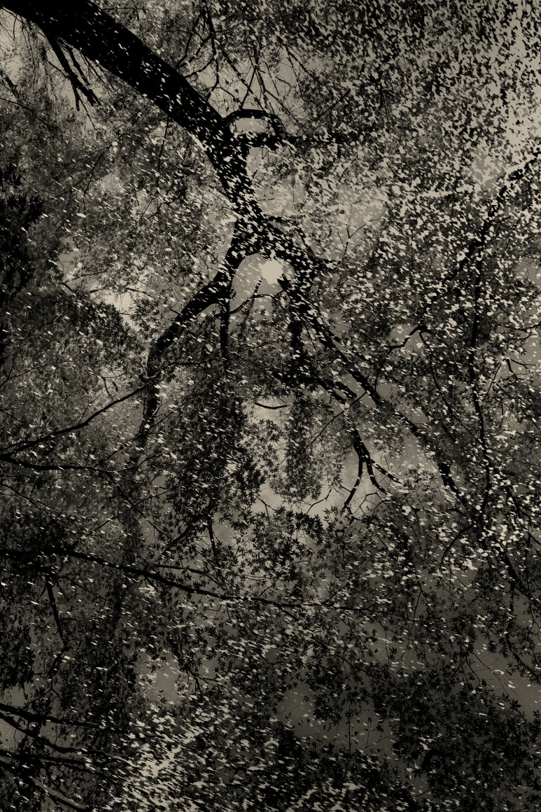 Soko, 2019, 35.4 x 23.6 inches (Edition of 5 &amp;amp; 2AP)