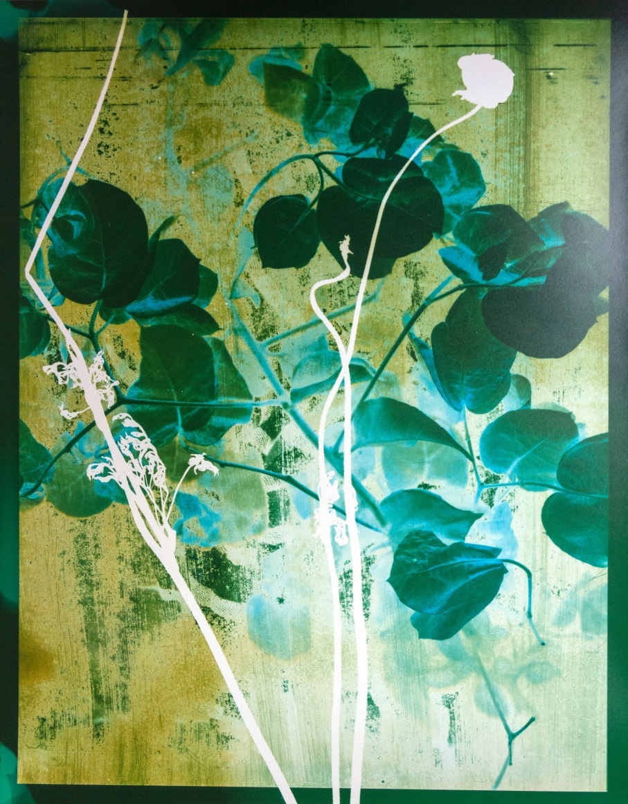 Flower #1, 14 x 11 inches