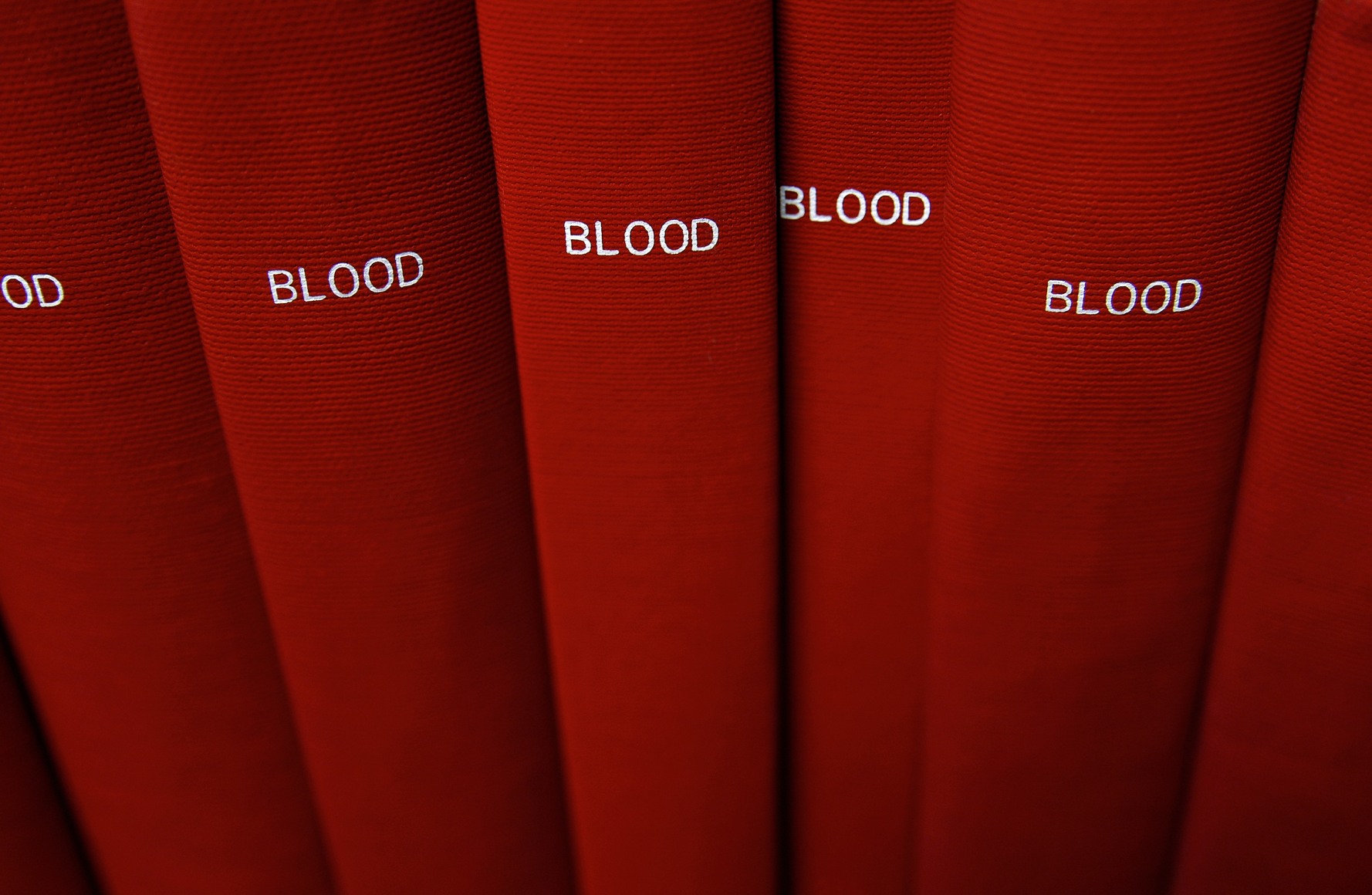 Mickey Smith, BLOOD, 2006 