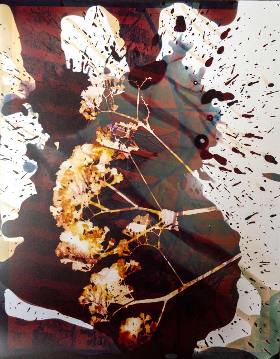 Flower #3, 14 x 11 inches