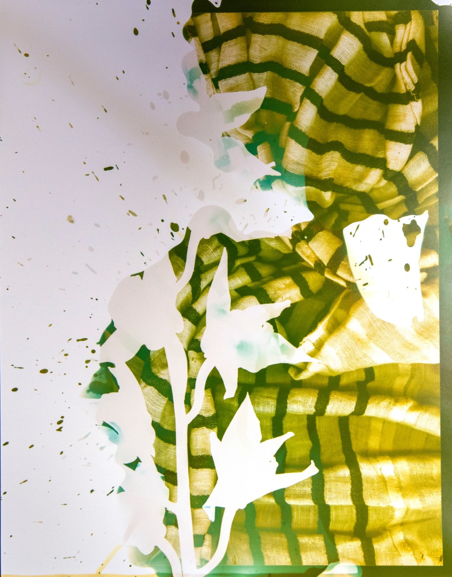 Flower #8, 14 x 11 inches