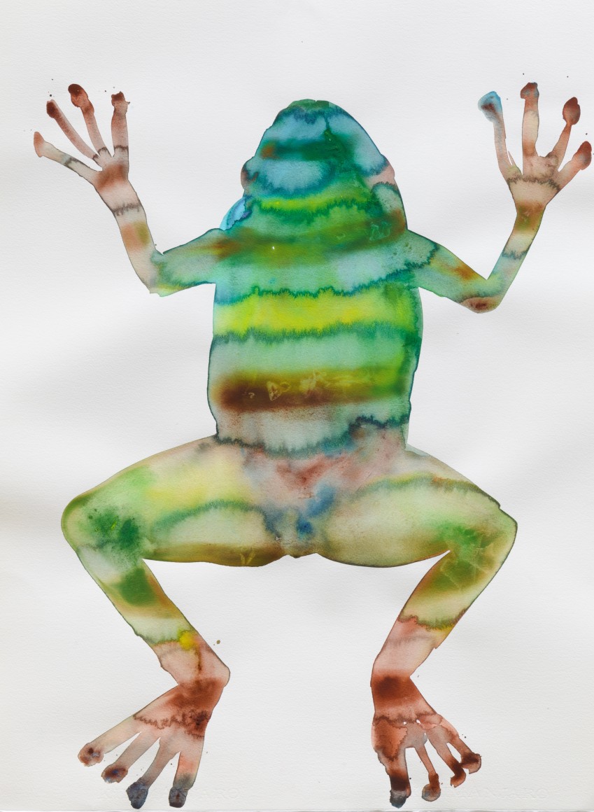 Kim McCarty, Watercolor on paper