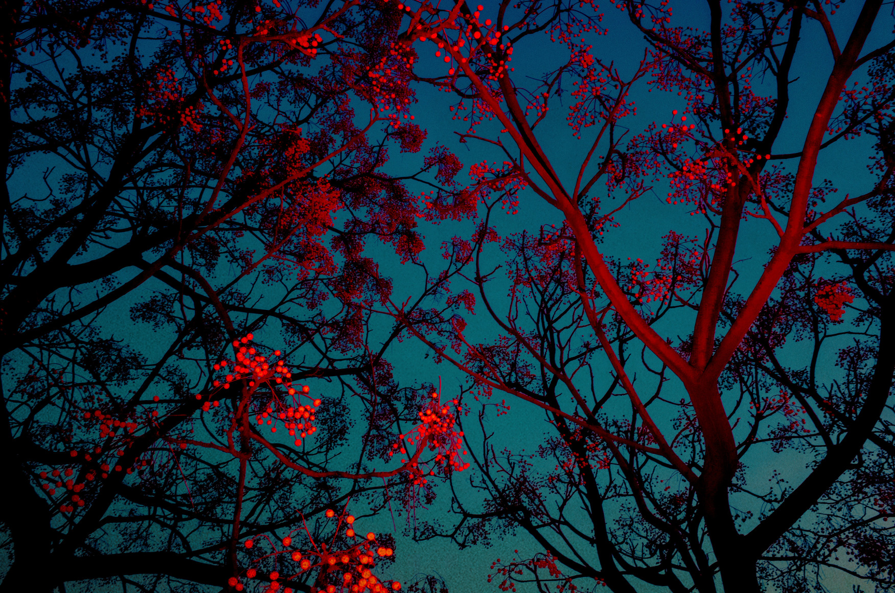 Estudi Azuriet, 2019, 35.4&nbsp;x 51.1&nbsp;inches (Edition of 3 &amp;amp; 2AP)