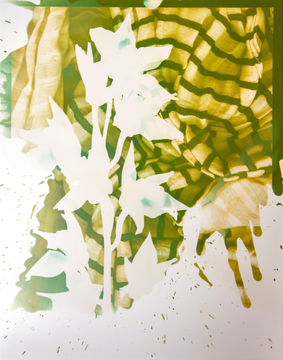 Flower #2, 14 x 11 inches