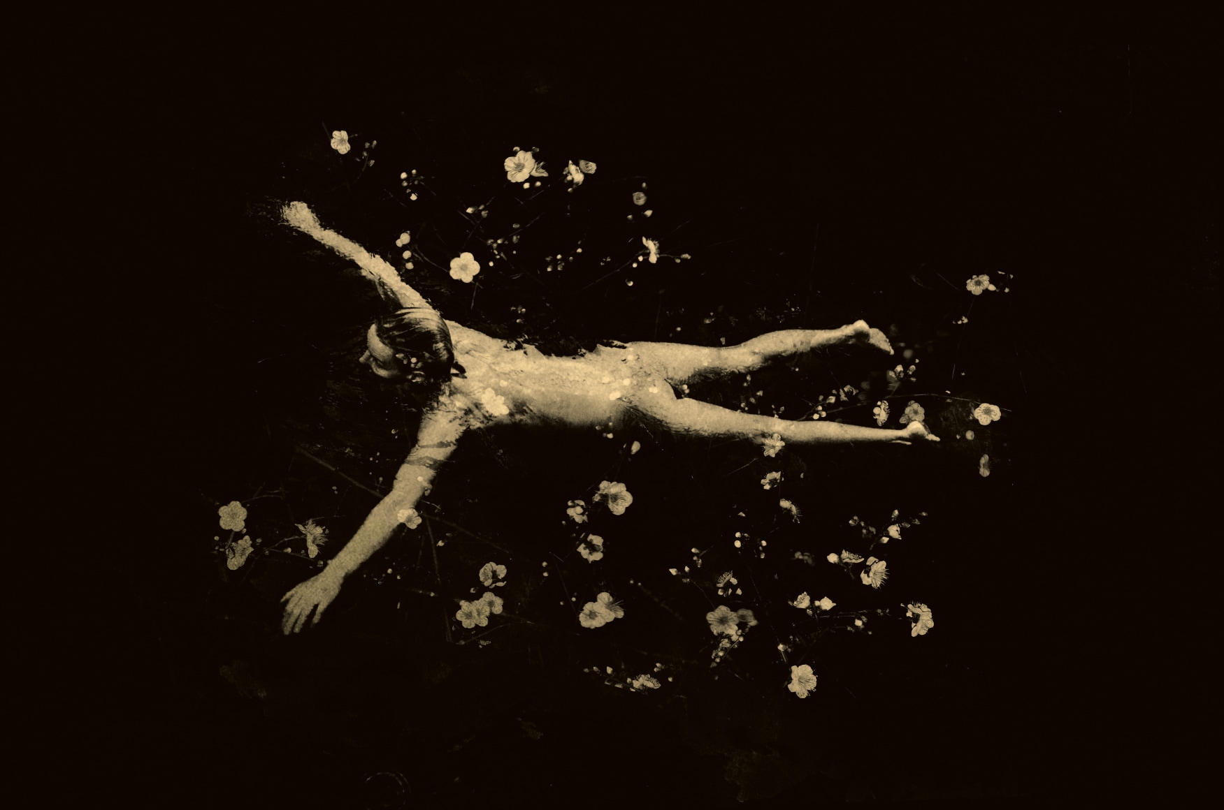 Paul Cupido, Clair de Lune, 2018