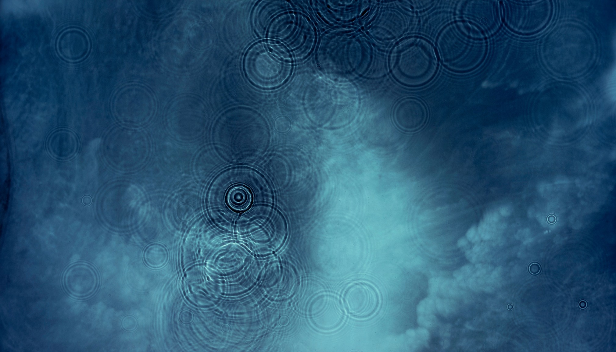 Eden 2, 2004, 45 x 75 inch lambda print 