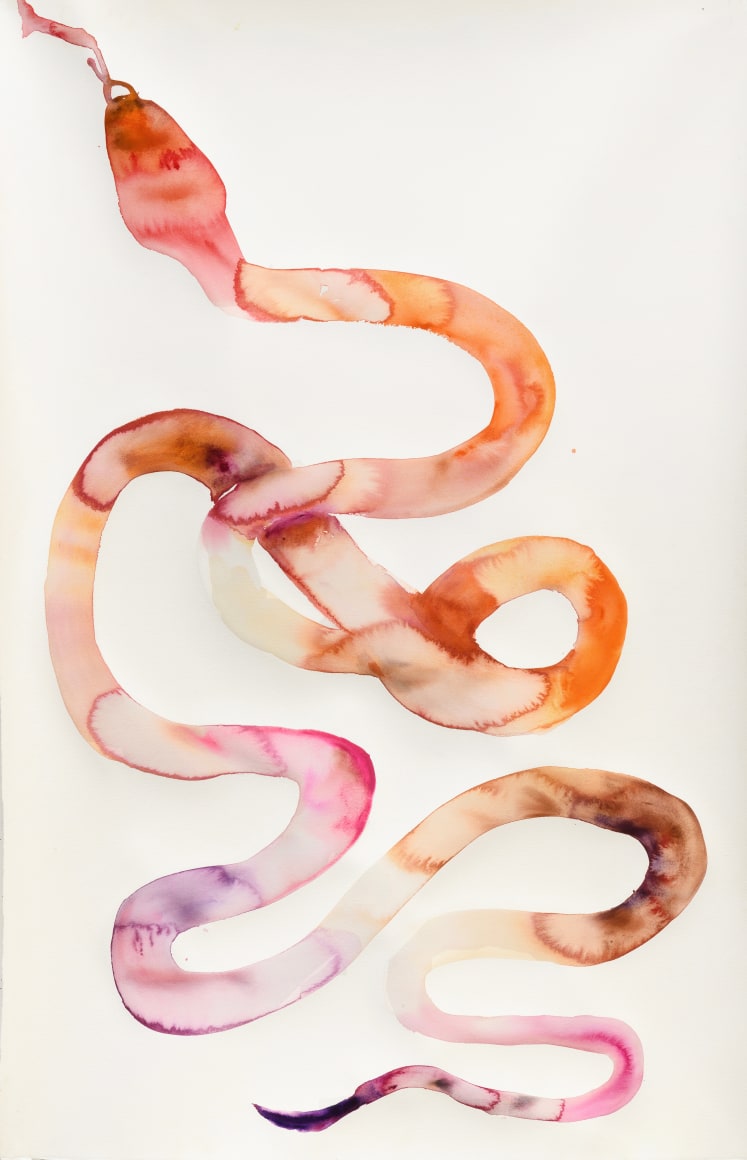 Kim McCarty, Watercolor on paper