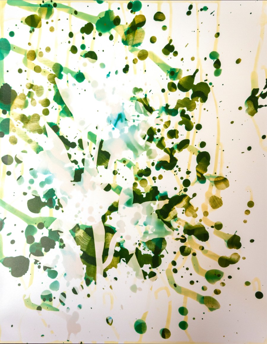 Flower #9, 14 x 11 inches