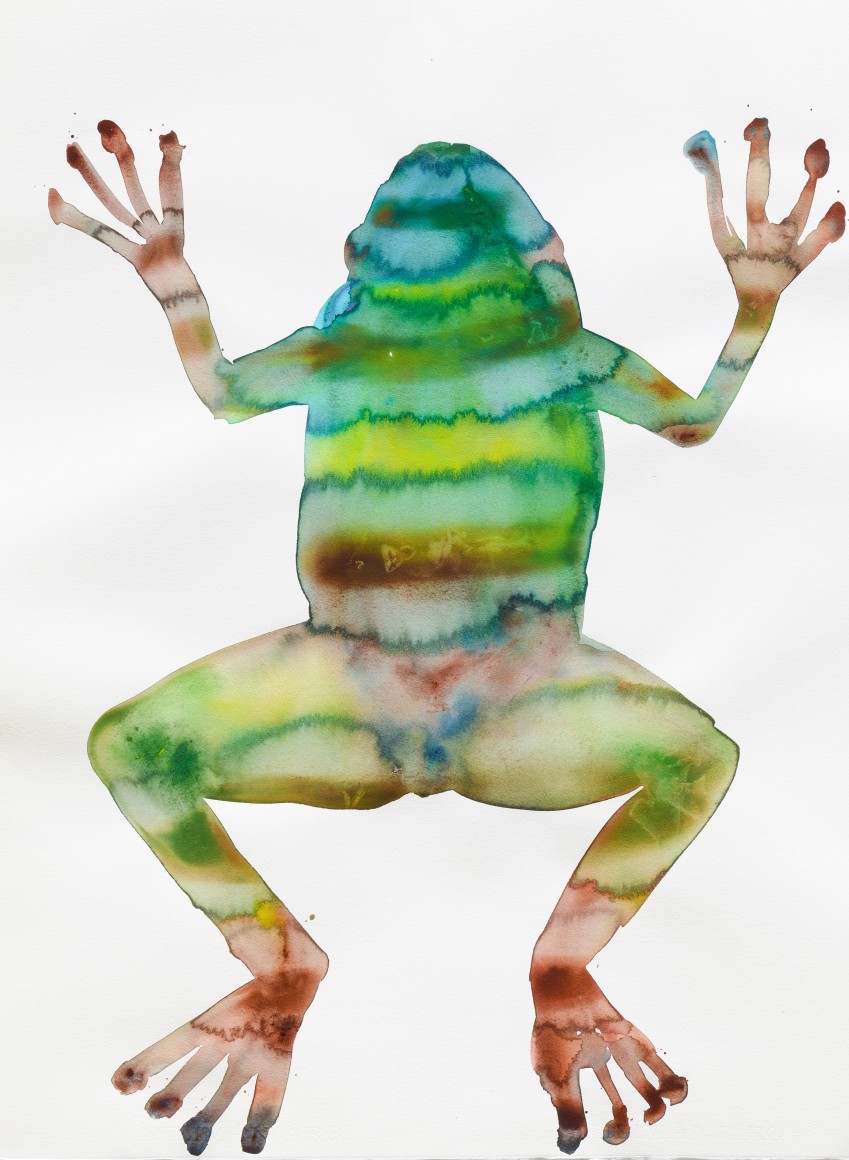 Kim McCarty, Watercolor on paper