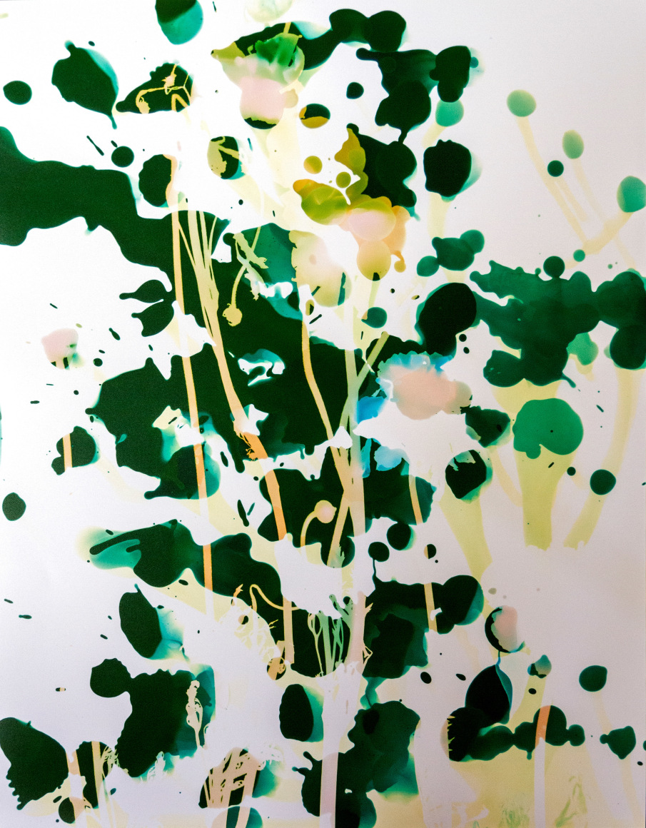 Flower #10, 14 x 11 inches