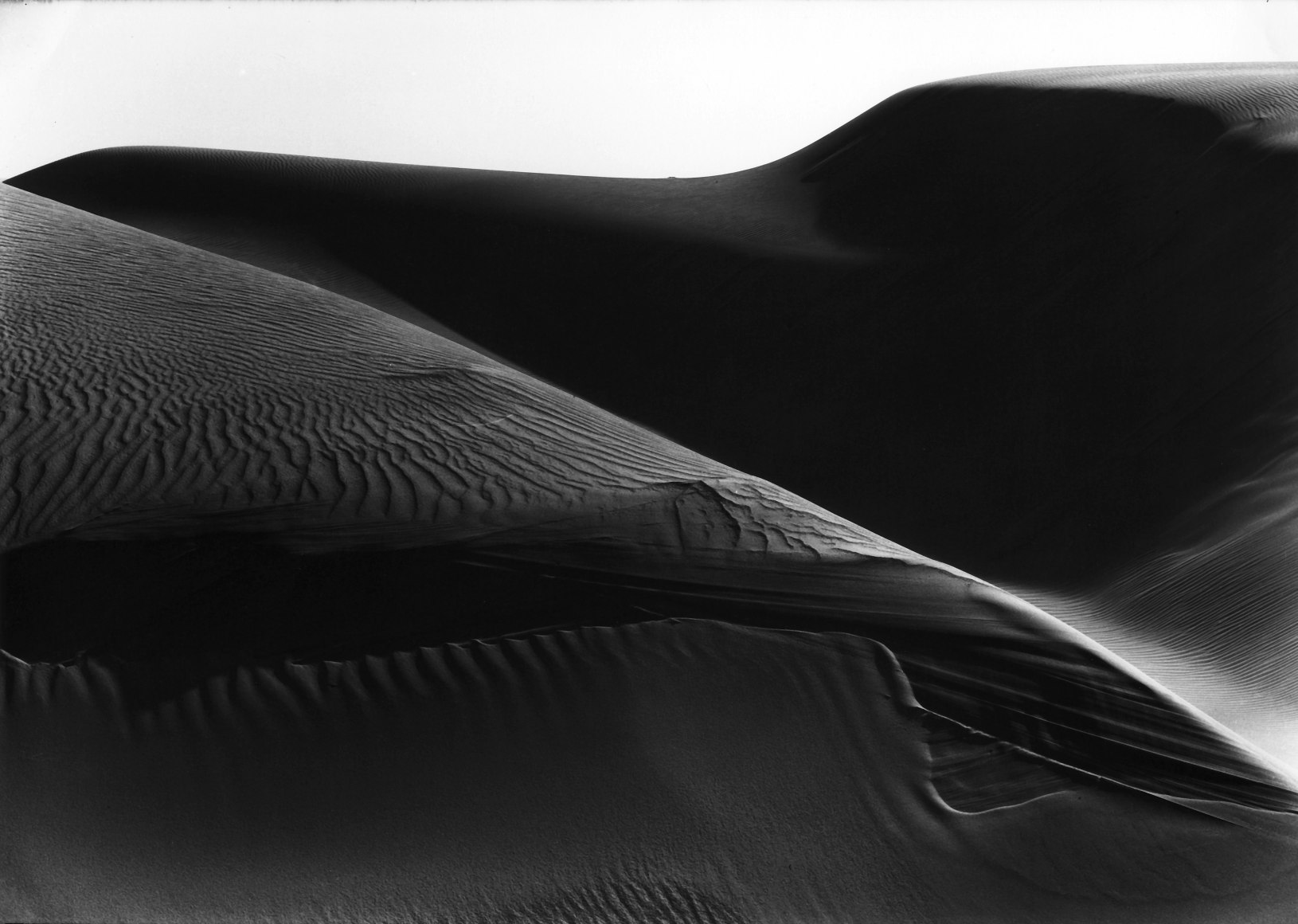 Dune, 1981. , 11 x 14 inch gelatin silver print