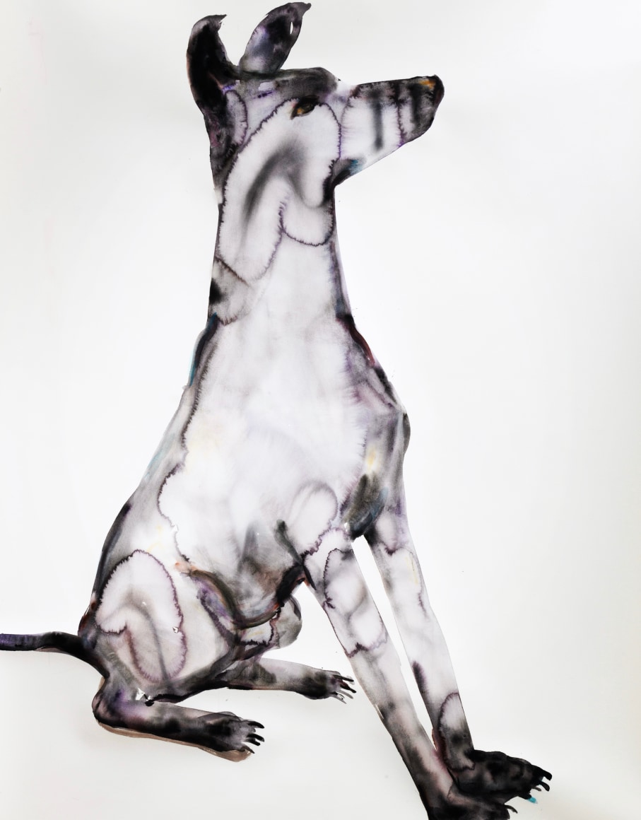 Kim McCarty, Watercolor on paper