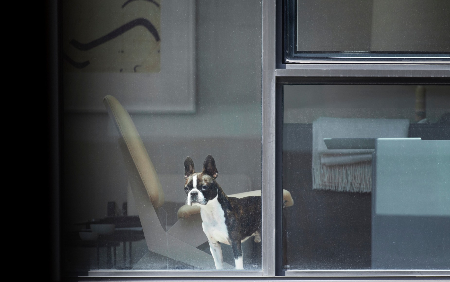 Arne Svenson, Neighbors #15, 2012