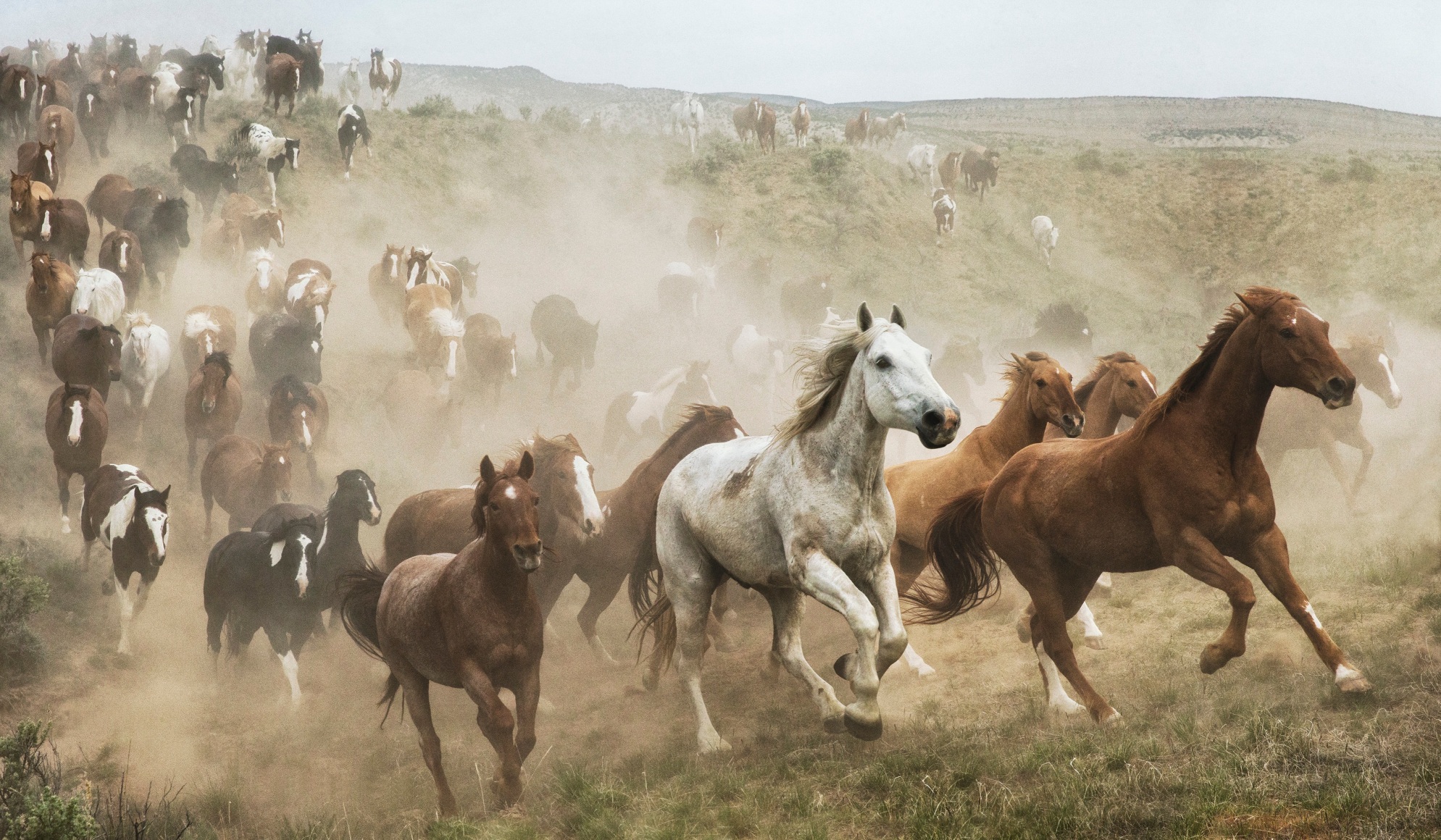 Epic Western No. 35, 2017 , 40 x 68 inch c-print