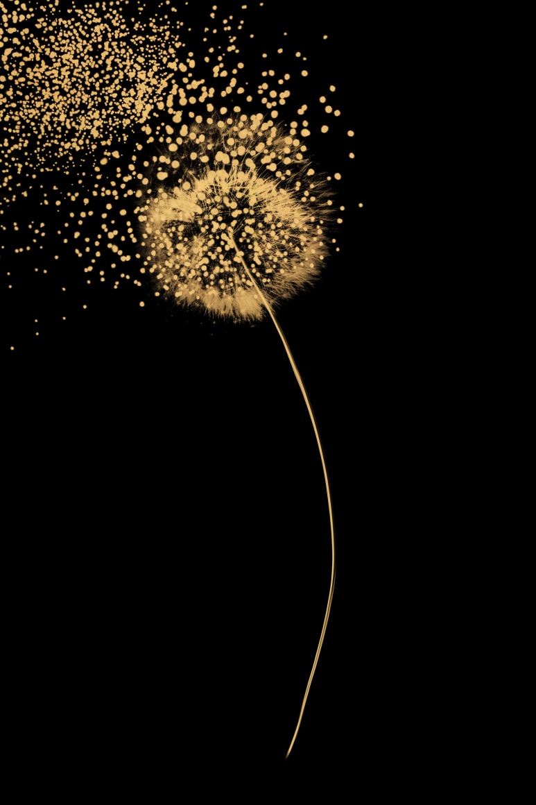 Paul Cupido, Tanpopo, 2018