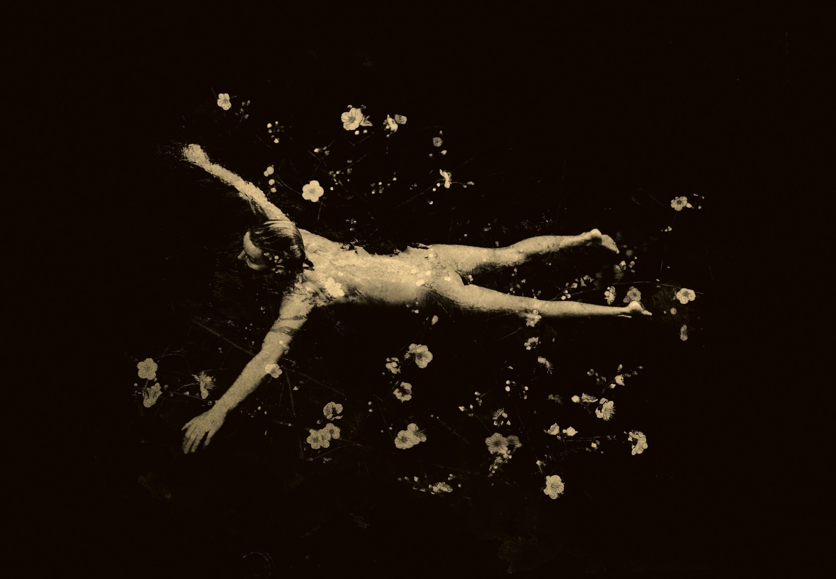 Paul Cupido, Clair de Lune, 2018 