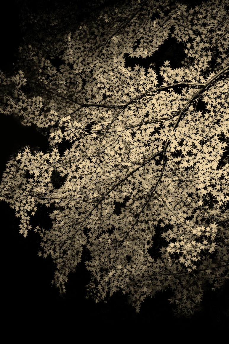 One more time with Feeling, 2019&nbsp;, 35.4 x 23.6 inches (Edition of 5 &amp;amp; 2AP)