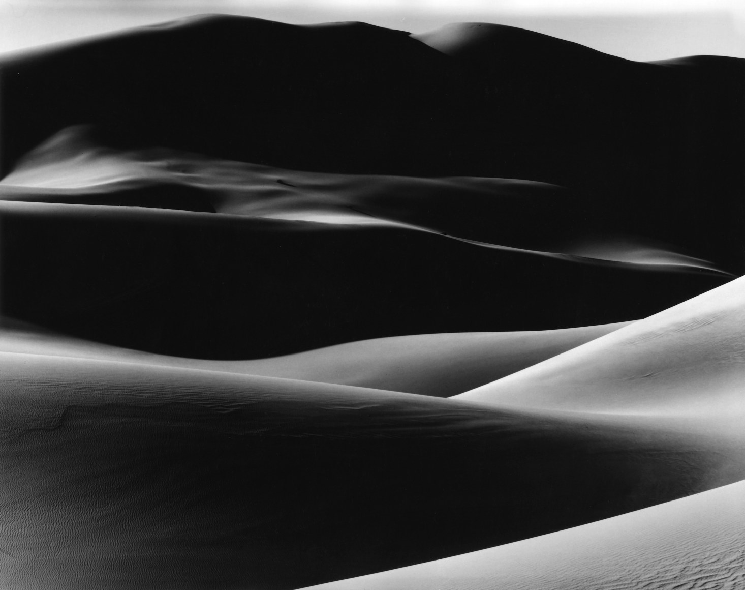 Brett Weston - CA / NY - Exhibitions - Danziger Gallery