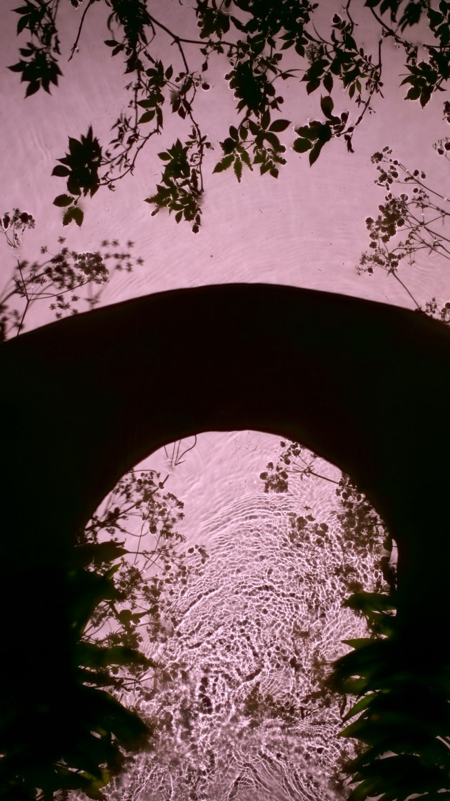 Wild Garlic Bridge, 2013, 30 x 17 inch digital c-print