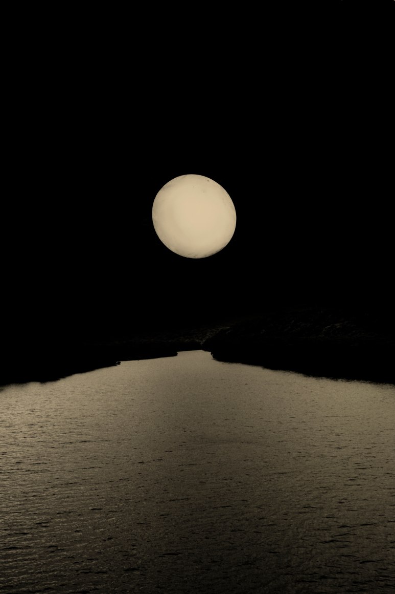 Dvorak, 2018, 15.4&nbsp;x 11.0&nbsp;inches