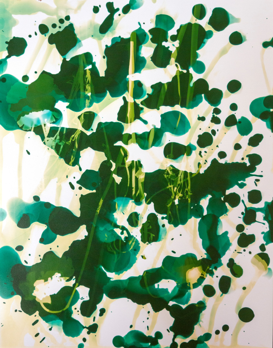 Flower #11, 14 x 11 inches