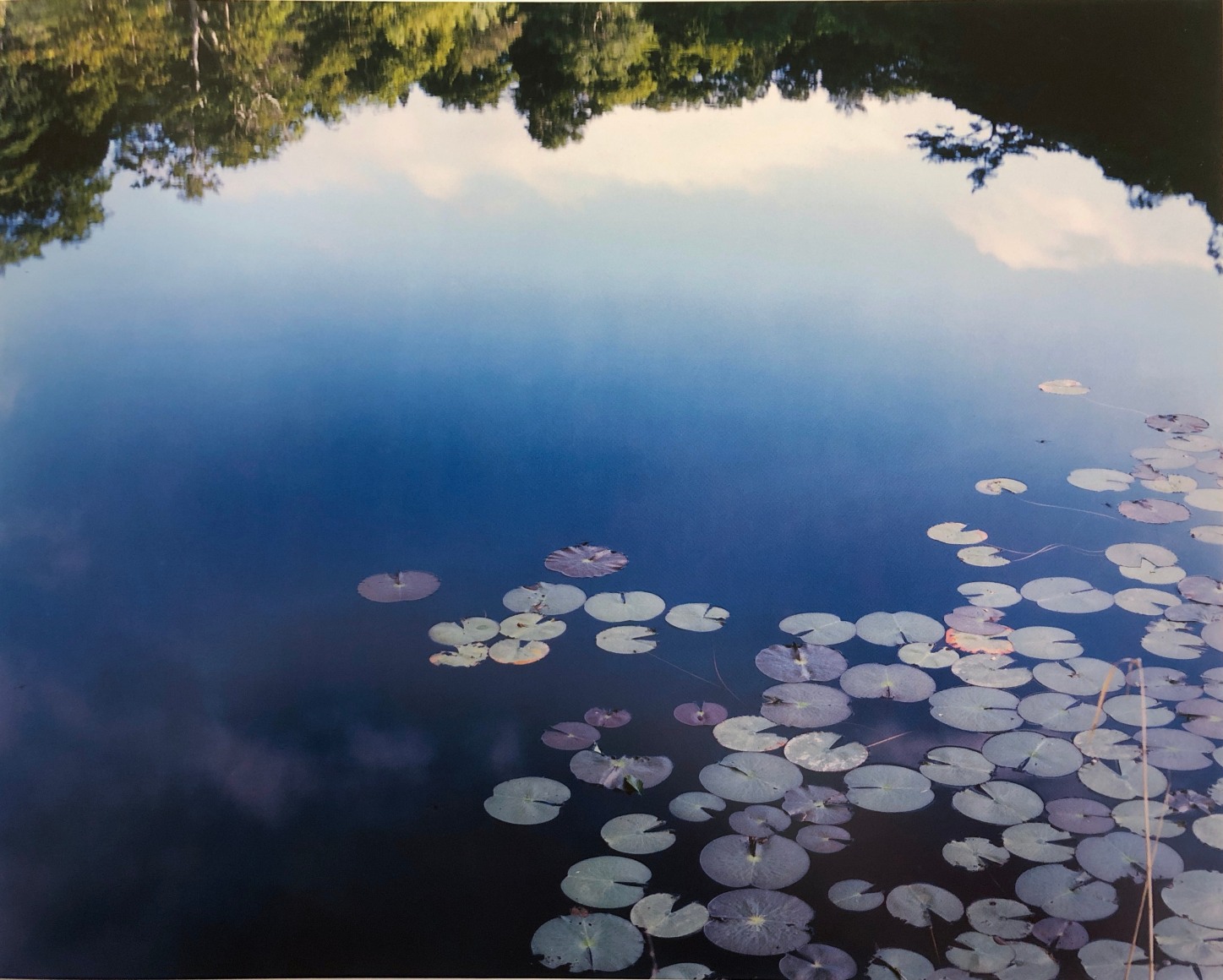 Risaku Suzuki, <<Water Mirror 15, WM-283>>, 2015