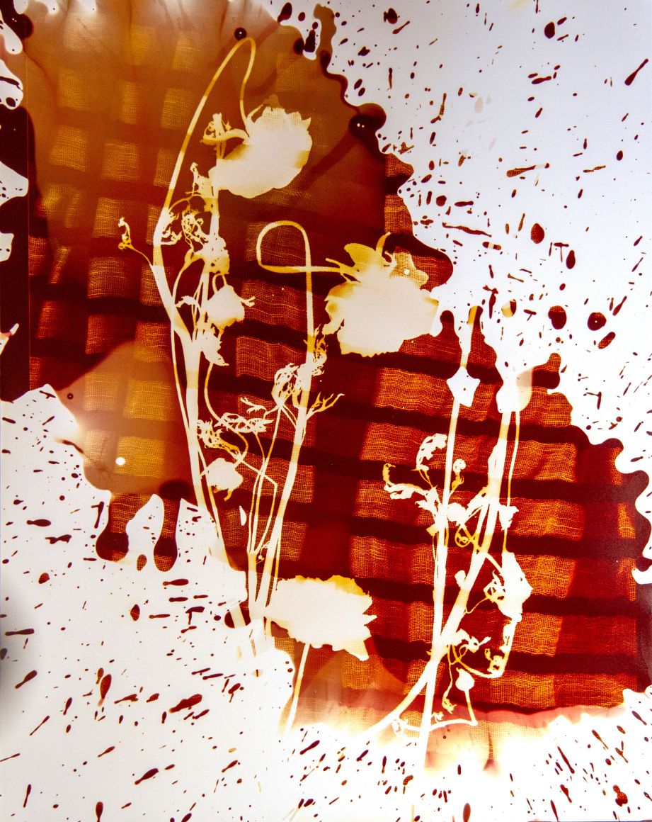 Flower #5, 14 x 11 inches