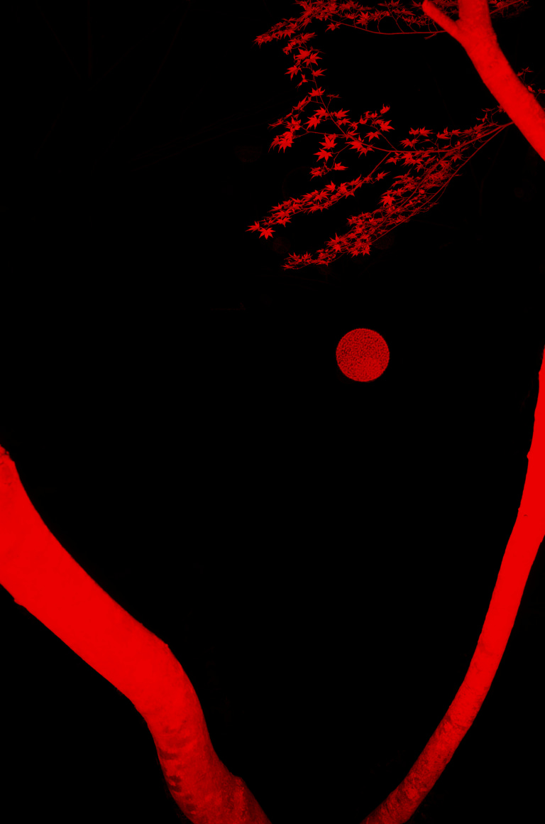 Aka, 2019&nbsp;, 9.5 x 6.3 inches