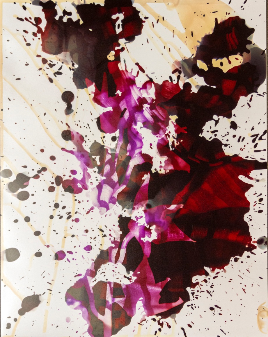 Flower #4, 14 x 11 inches