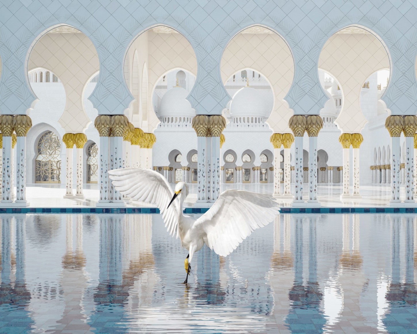 Karen Knorr , The Way of Ishq, Grand Mosque, Abu Dhabi, 2019