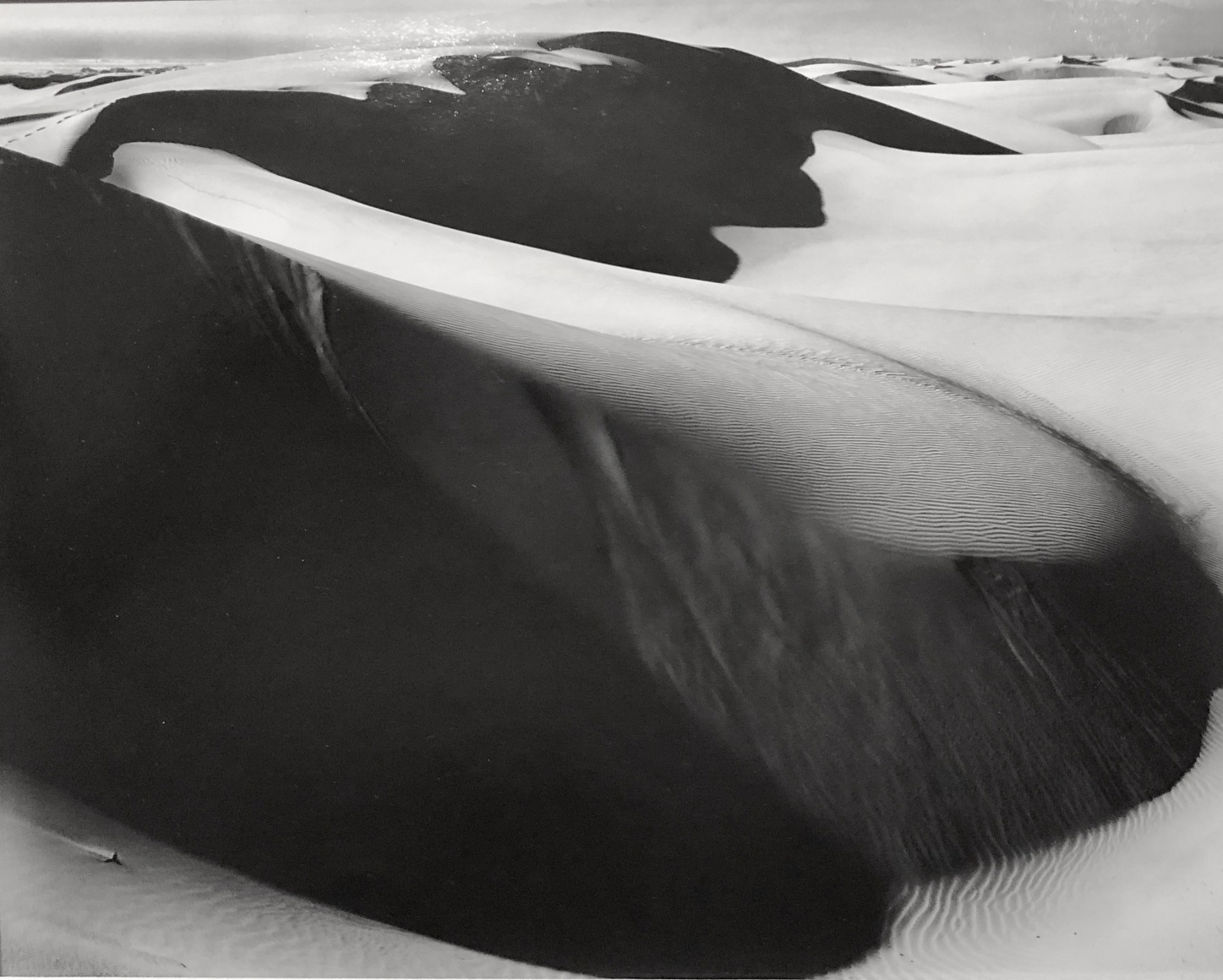 Dune, 1960.  , 11 x 14 inch gelatin silver print