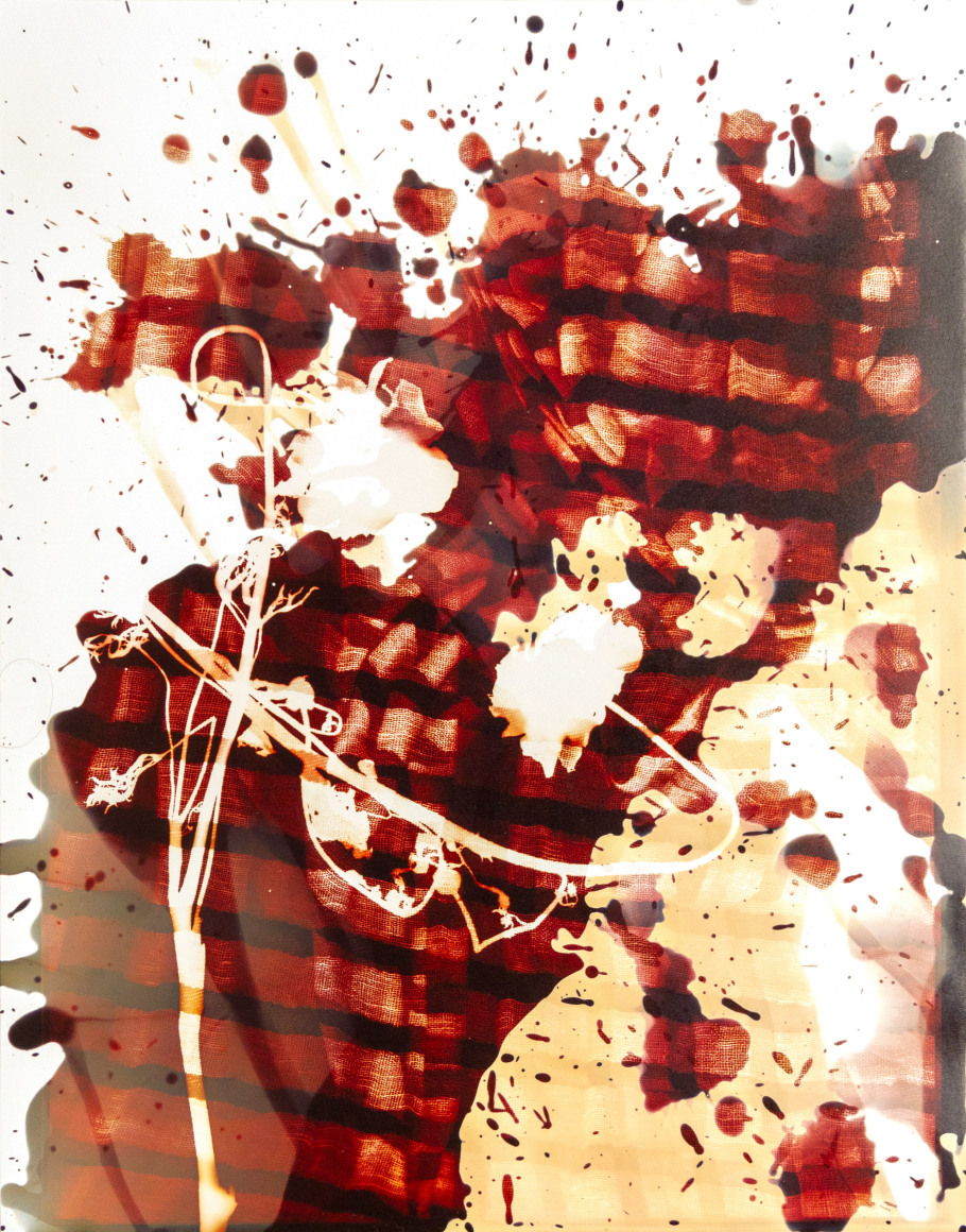 Flower #6, 14 x 11 inches