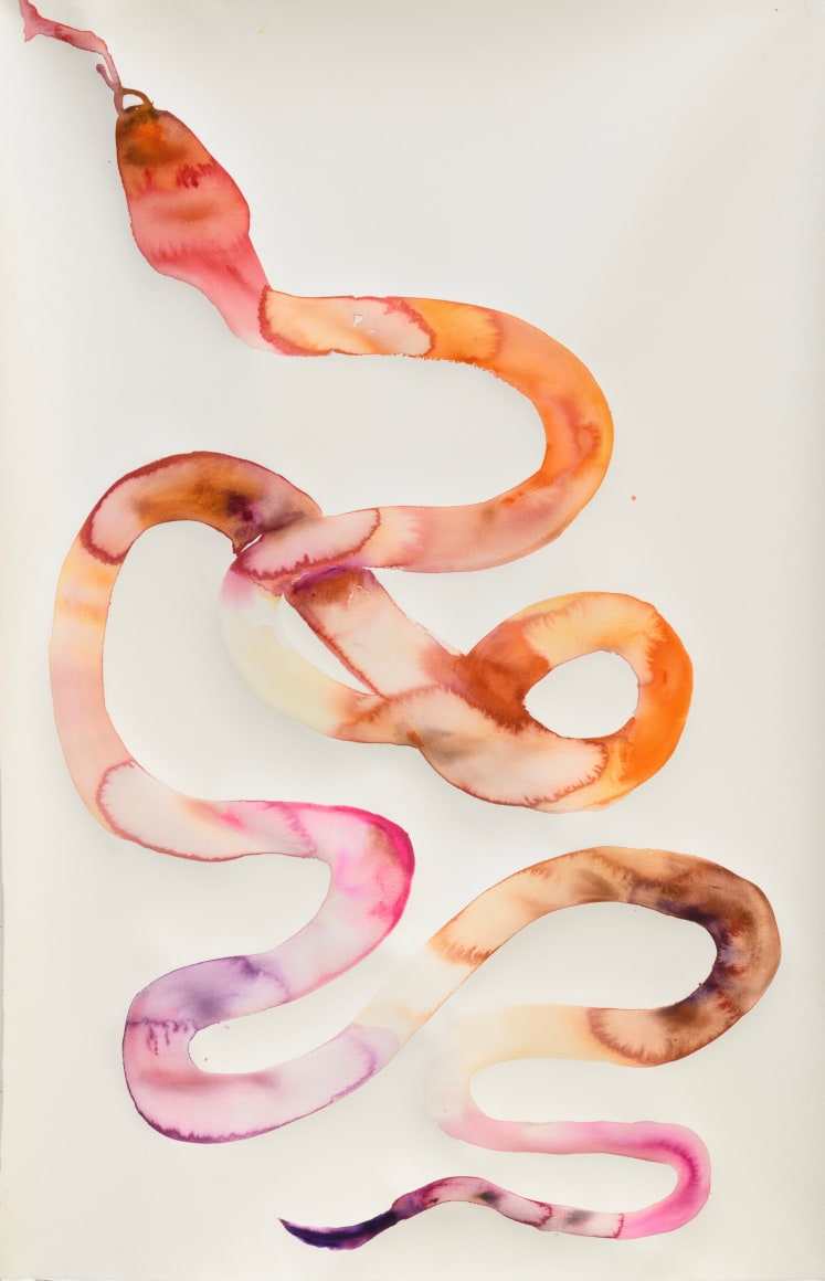 Kim McCarty, Watercolor on paper
