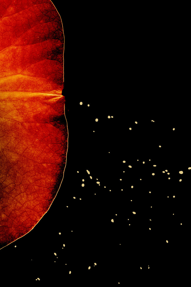 Minamoto, 2019&nbsp;, 23.6 x 15.7 inches&nbsp;