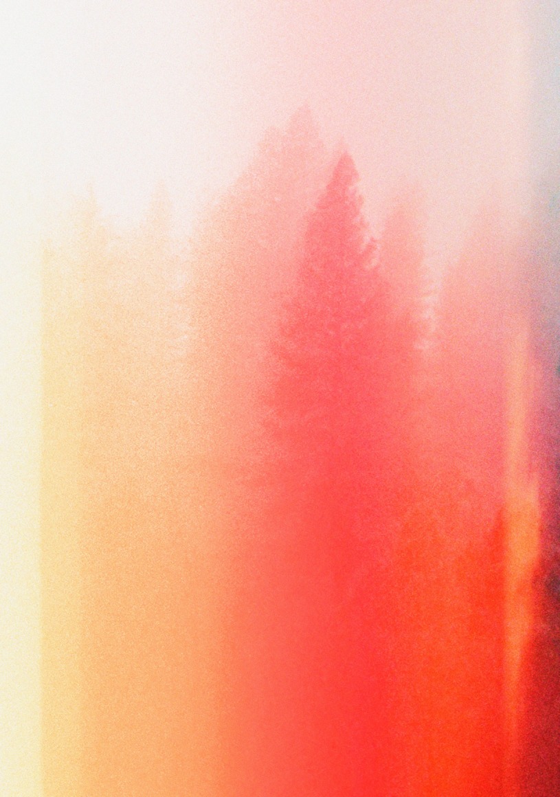 Olivia Bee, Somewhere Place, 2022