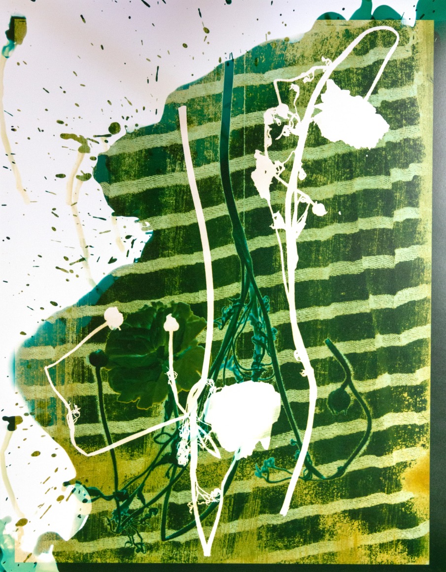 Flower #12, 14 x 11 inches