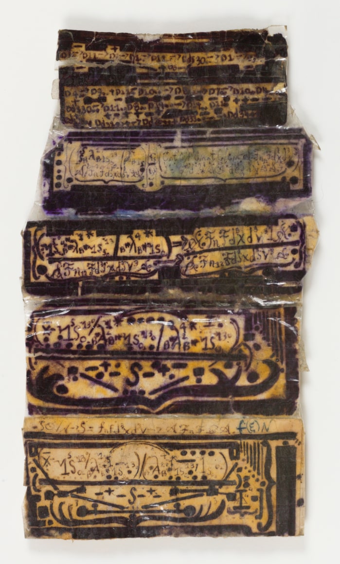 Melvin Way Staminate Conquest, c. 2004