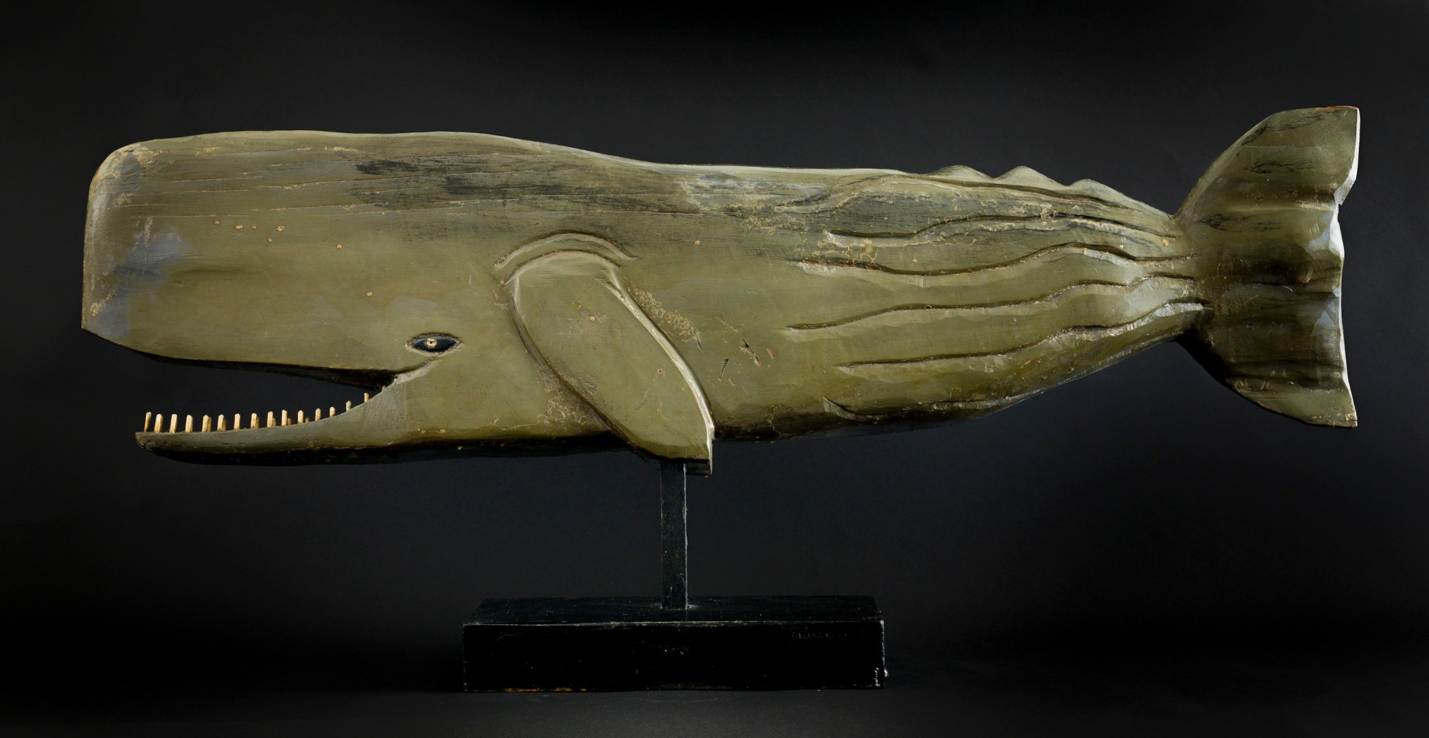 Albert Hoffman Toothed Whale, n.d.