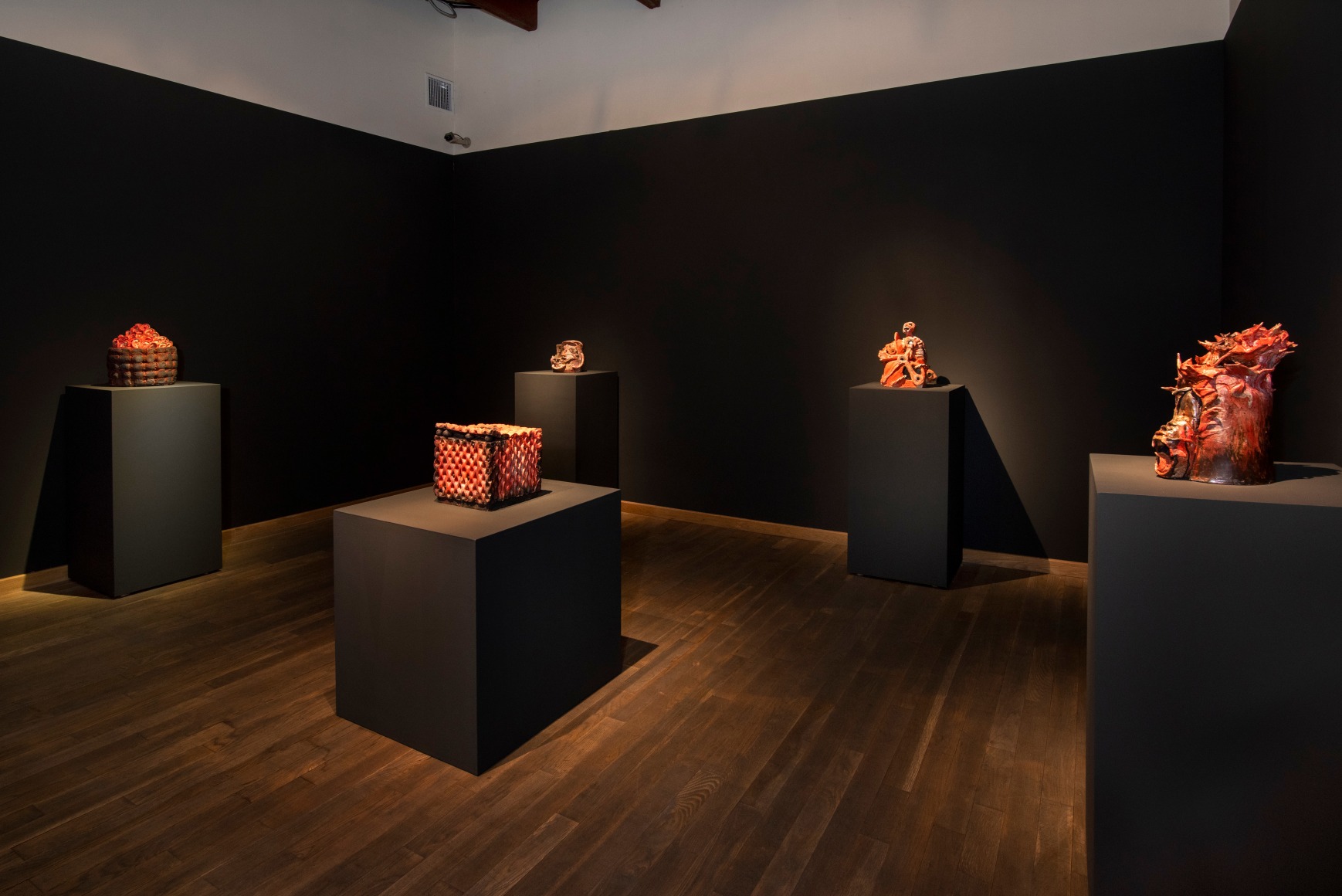 Francisco Toledo exhibition photograph