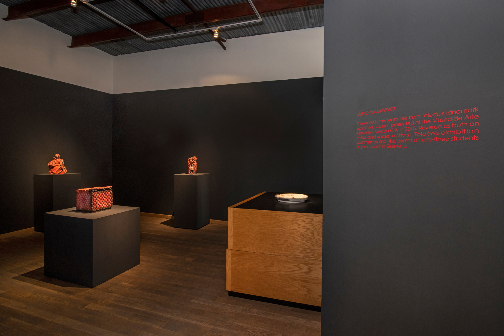 Francisco Toledo exhibition photograph