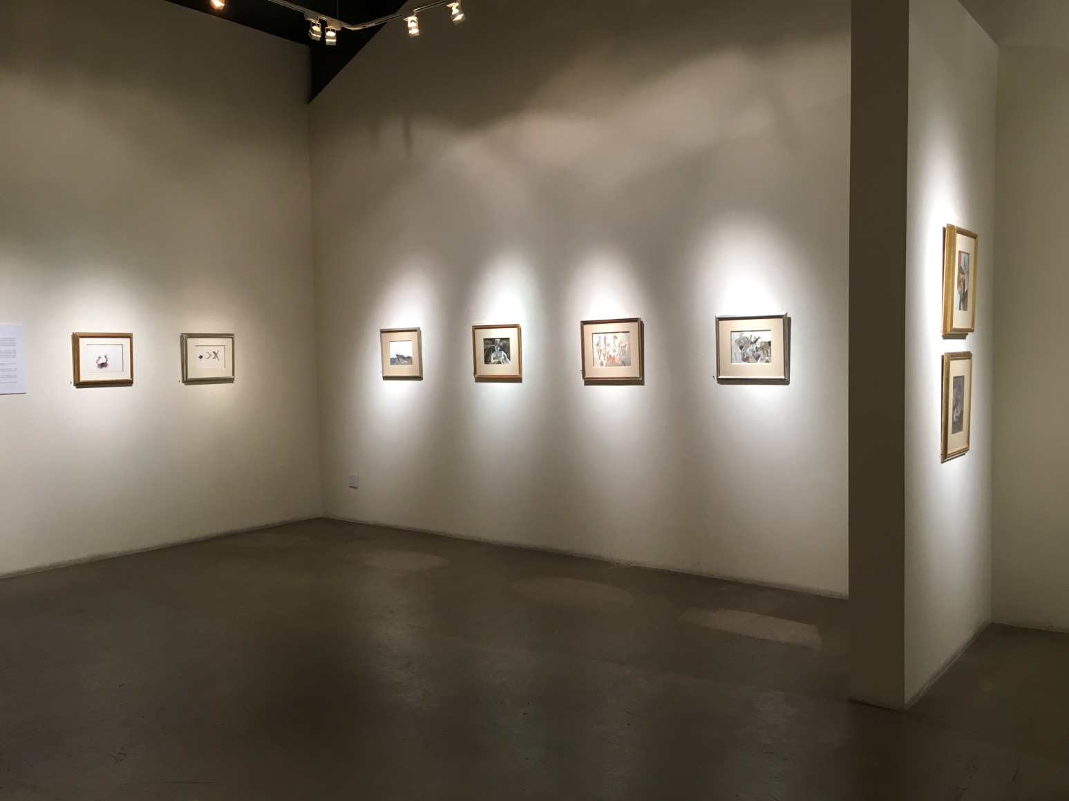 Francisco-Toledo-Sobre-Papel