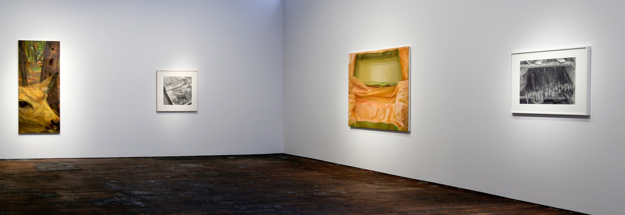 Catherine Murphy: Recent Work – installation view 6