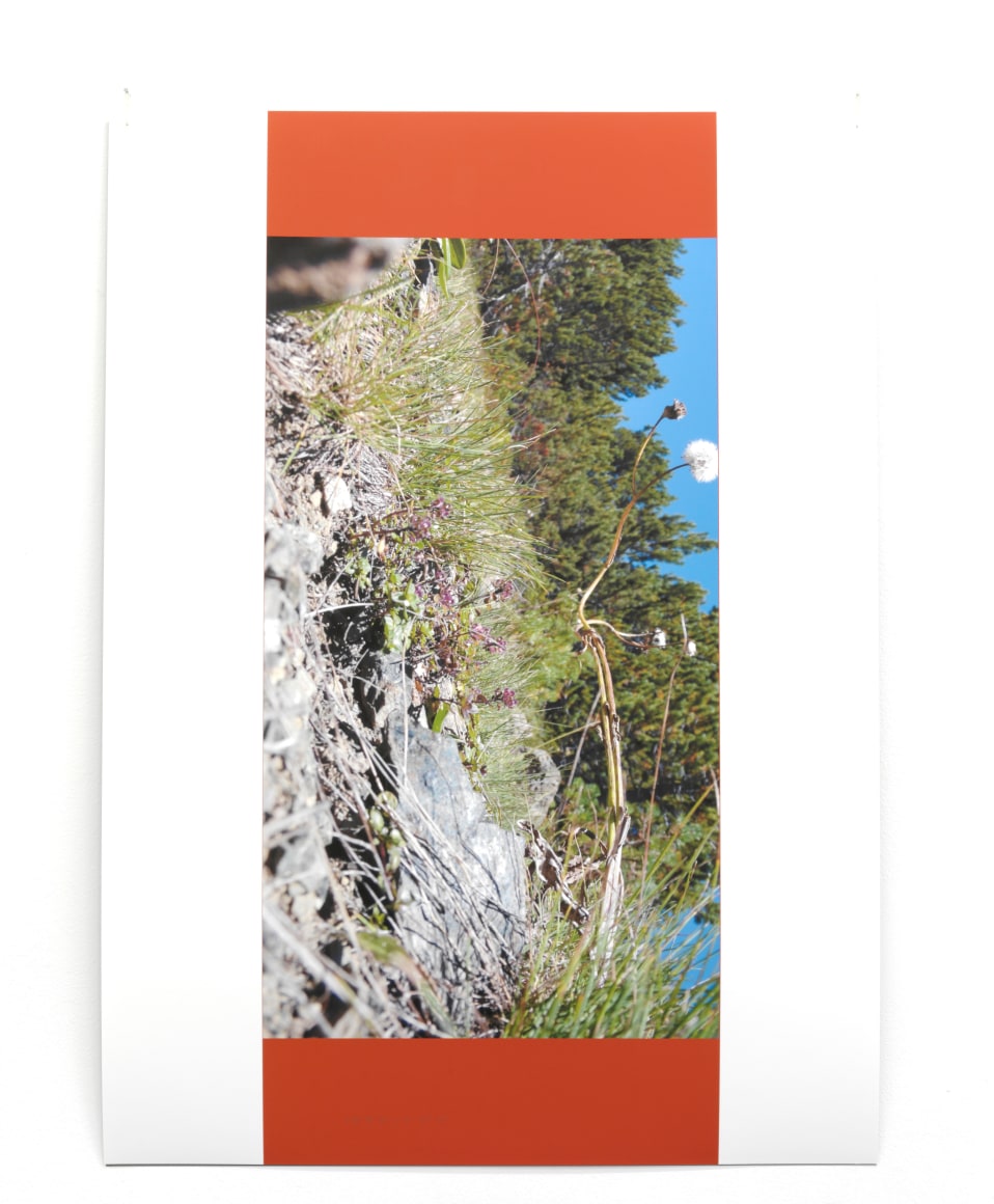 Helen Mirra: Conscience de pierre – installation view 4