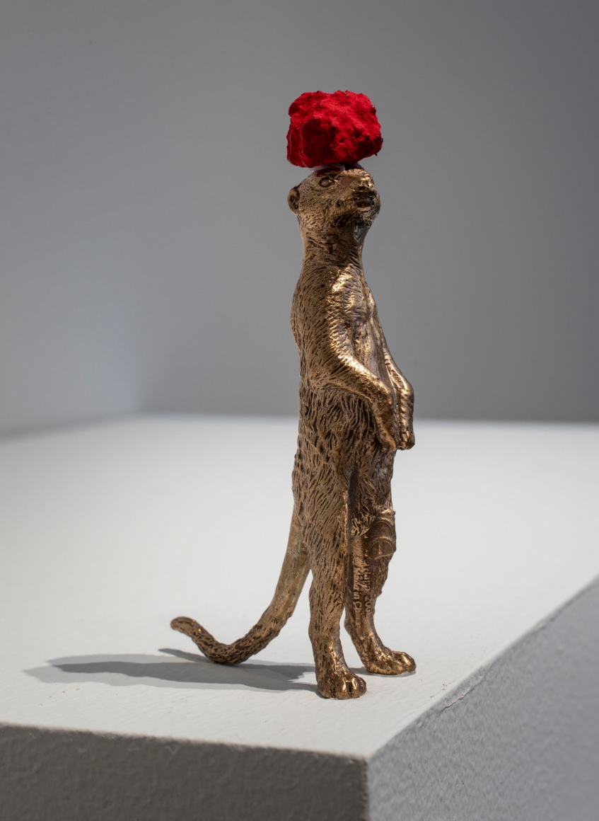 Untitled (meerkat)