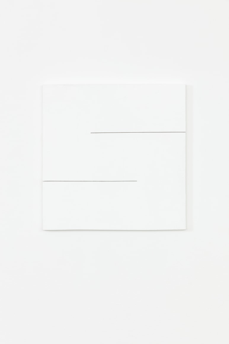 Fernanda Gomes Untitled