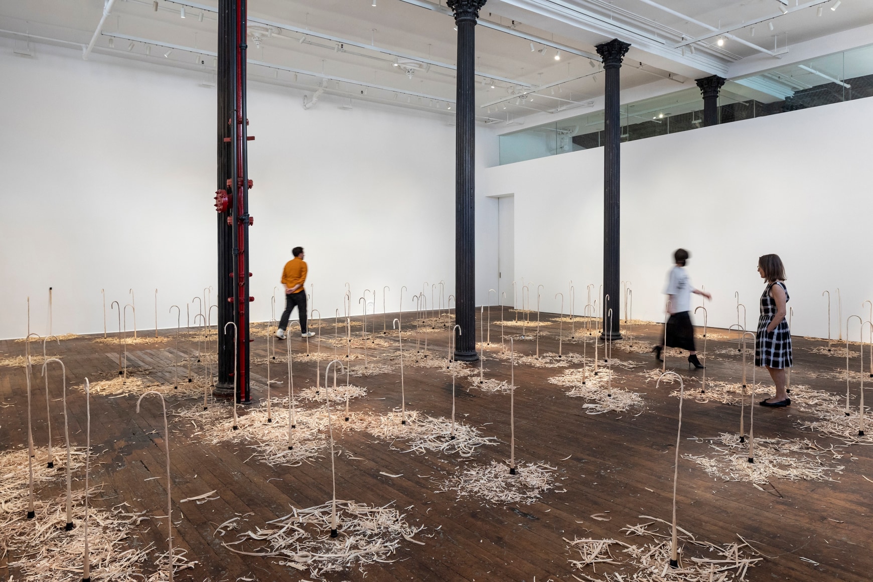 installation view 8