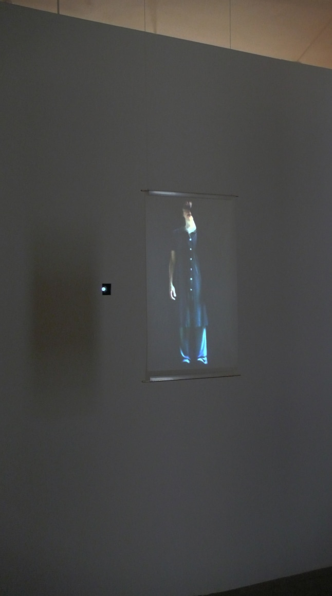Fiona Tan Projection
