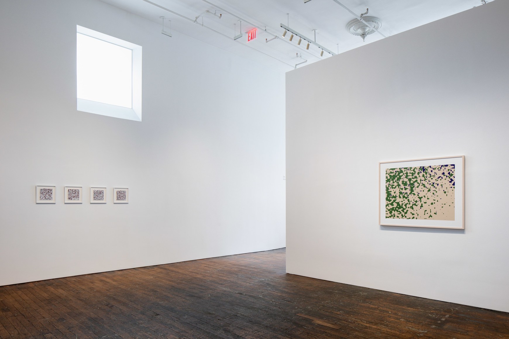 installation view 5