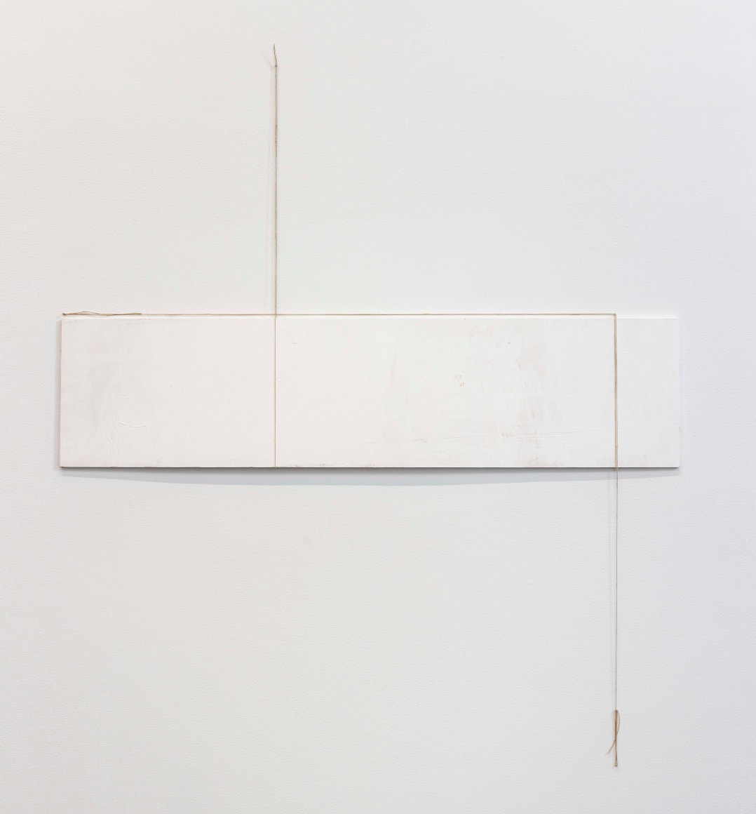 FERNANDA GOMES, Untitled