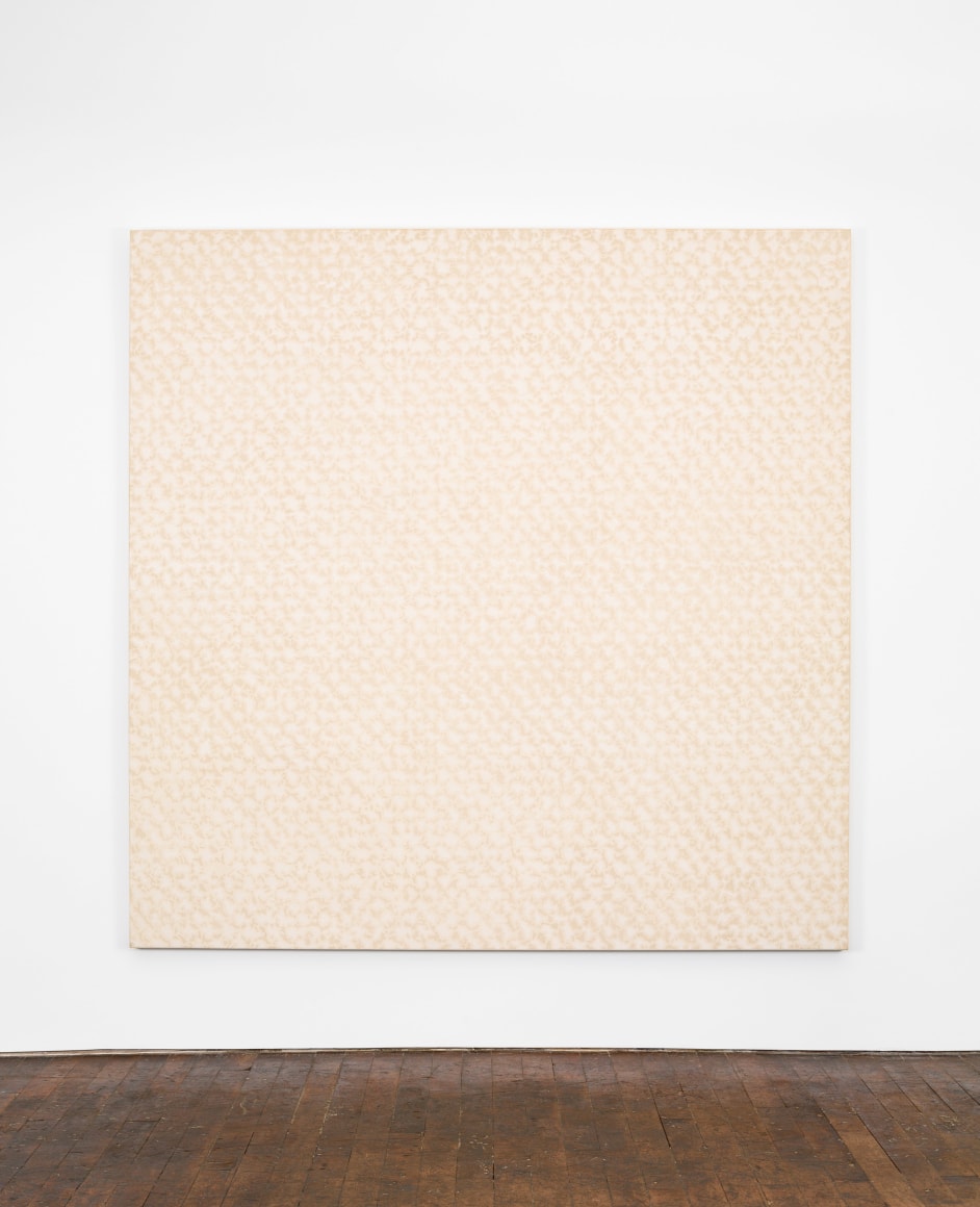 ALEX HAY, Untitled